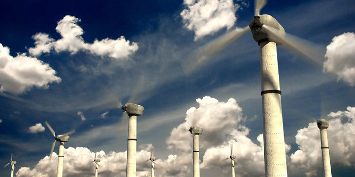 Local Schools Achieve Eco-School Status