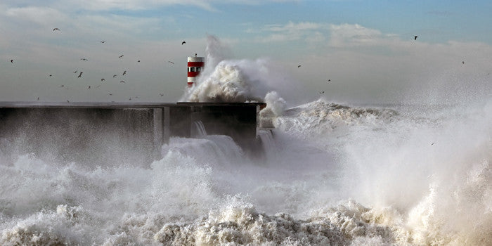 North Denes Coastwatch