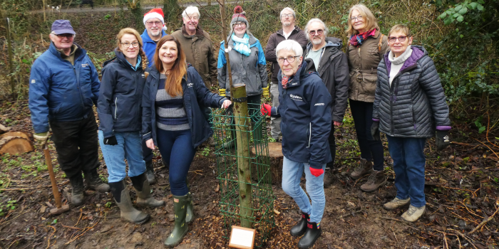 Skyview Partners with Eden-Rose Coppice to Enhance the Restorative Power of Nature