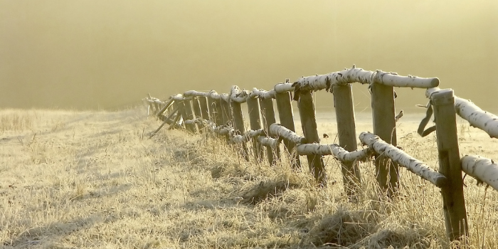 The UK's Most Popular Weather Myths: Fact or Fiction?